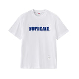 Wholesale export sup streetwear letter print 100% cotton t-shirt - relaxed fit, crew neck, short sleeve