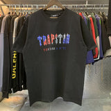 Cross-border foreign trade wholesale trapstar gradient letter ts tiger head printing short-sleeved couple loose high street