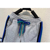 Toddler Boys Sweater Boys' Suit Spring and Autumn Two Pieces