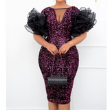 Mariah Carey See Through Dress Sequined Slim Dress
