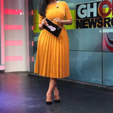 Mariah Carey See through Dress plus Size High Waist Fashion Pleated Dress