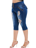 Women Plus Size Jeans Slim Fit Stretch Ripped High Waist Denim Shorts