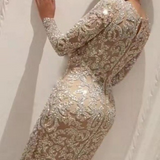 Mariah Carey See through Dress Bronzing Long Sleeve Slim Sexy Dress Evening Dress