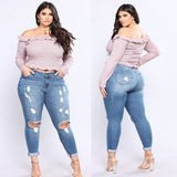 Women Plus Size Jeans Stretch Ripped Jeans for Women