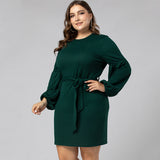 Women Plus Size Midi Dresses Long Sleeve Crew Neck Pencil Dress