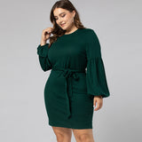 Women Plus Size Midi Dresses Long Sleeve Crew Neck Pencil Dress