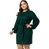 Women Plus Size Midi Dresses Long Sleeve Crew Neck Pencil Dress