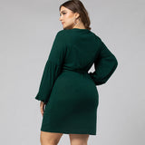 Women Plus Size Midi Dresses Long Sleeve Crew Neck Pencil Dress