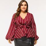 Women Plus Size Tops Spring Pullover Long Sleeve V-neck Slim Fit Blouse