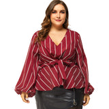 Women Plus Size Tops Spring Pullover Long Sleeve V-neck Slim Fit Blouse