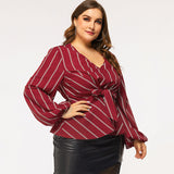 Women Plus Size Tops Spring Pullover Long Sleeve V-neck Slim Fit Blouse