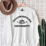 Halloween Costumes Halloweentown Printed Pumpkin round Neck Sweater for Women in Stock