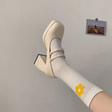 Nude Block Heel Sandals Vintage Mary Jane Shoes