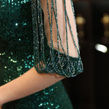 Sequin Evening Dress Elegant Long Style Long Sleeve Sequined Fishtail Evening Dress