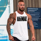 Man Tanks Fitness Vest Men's Sports