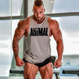 Man Tanks Fitness Vest Men's Sports