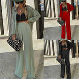 Women Blazar Pants Suit Autumn Shirt Leisure