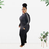 Women Plus Size Co-Ords Women Casual Two-Piece Suit