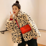 Dalmatian Coat