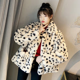 Dalmatian Coat