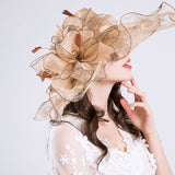 Kentucky Derby Hats Mesh Cap Wide Brim Hat