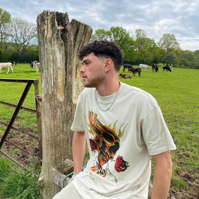 Present T Shirt Rose Skull Print Distressed round Neck T-shirt