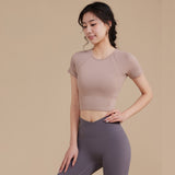 Moisture Wicking T Shirts