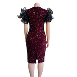 Mariah Carey See Through Dress Sequined Slim Dress