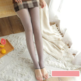 Women's Legging Thickened Large Size Mesh Waist Leggings Women's Gray Transparent