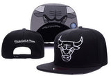 Chicago Bulls Baseball Cap Bull Basketball Team Baseball Cap