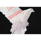 Rrr123 Hoodie and White Pigeon Pattern Hooded Sweater for Men and Women