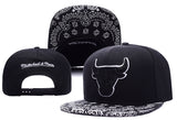 Chicago Bulls Baseball Cap Bull Basketball Team Baseball Cap