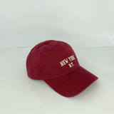 Yankee Baseball Cap Four Seasons Peaked Cap Fishing Hat