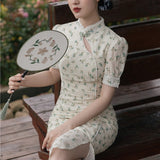 Women cottagecore Dress Vintage Girl Dress