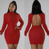 Bella Hadid Dress Backless Sexy Dress Feather Long Sleeve Narrow