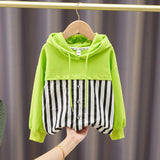 Toddler Boys Sweater Children's Clothing Boy's Hoody Spring and Autumn