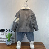 Toddler Boys Sweater Boys' Sweater Autumn Knitted Cardigan Autumn