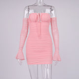 Bella Hadid Dress Mesh Flared Sleeves Pleated Dress