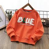 Children Hoodie Sweatshirts Boys' Autumn Casual Boy Autumn Top