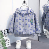 Toddler Boys Sweater Children's Clothing Boys' Spring and Autumn Clothing Hooded Sweater