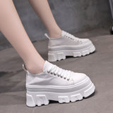 Cow Print Hey Dude Shoes Cow Pattern Canvas Shoes Women's Lace-up Height Increasing Insole Casual Sneakers