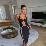 Music Festivals Rave Outfits Dress Spring/Summer Sheer Mesh Backless Slim Fit Sheath Dress