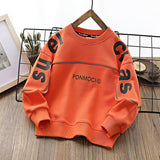 Children Hoodie Sweatshirts Autumn Boy's Hoody