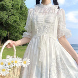 Gothic Lolita Harajuku Style Clothing Chiffon Cute Lace Lined Lolita Chiffon Half Sleeve Shirt