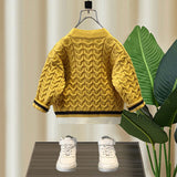 Toddler Boys Sweater Boys' Cardigan Sweater Spring and Autumn Knitwear Baby