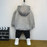 Toddler Boys Sweater Boys Hooded Sweatshirt Spring Clothes