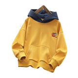 Children Hoodie Sweatshirts Sweater Autumn Casual