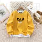 Children Hoodie Sweatshirts Boy's Hoody Autumn Embroidery