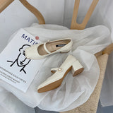 Nude Block Heel Sandals Chunky Heel Mary Jane Leather Shoes