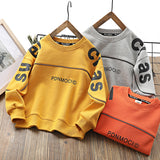 Children Hoodie Sweatshirts Autumn Boy's Hoody